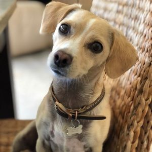 Meet your Posher, Stacy